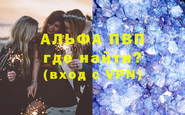 стафф Вязьма